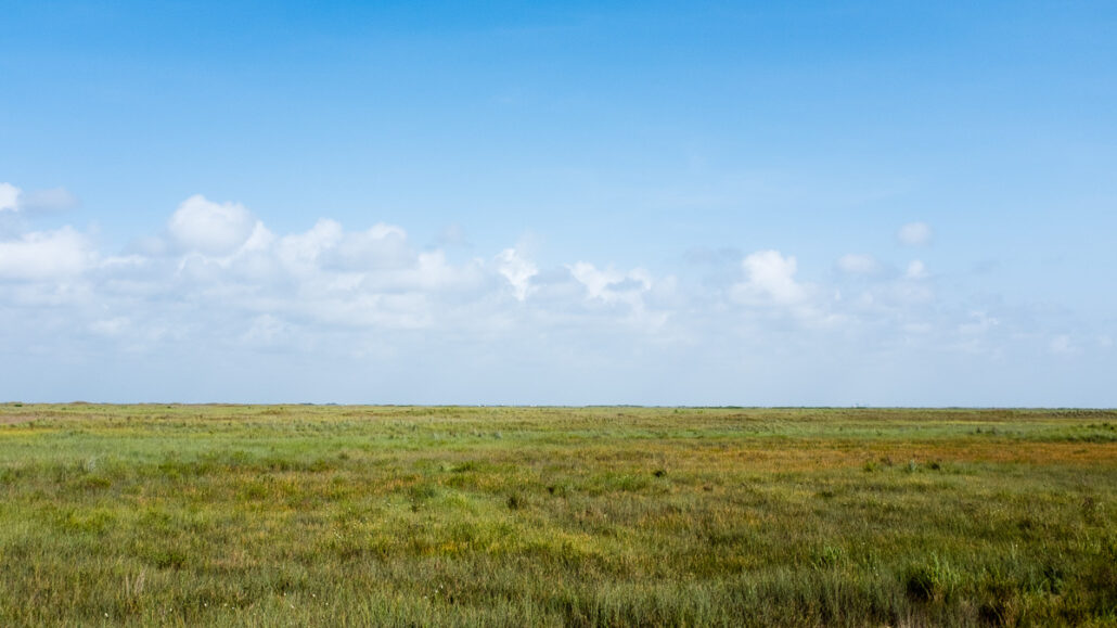 Having a Nature Bath, The Coastal Plain #0089. The gulf coastal plain of Texas is just as big and flat as the gulf itself. Photograph by Jeff Kauffman